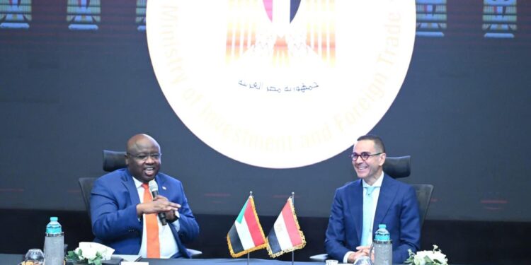 وزير الاستثمار يستقبل وزير المعادن بدولة السودان الشقيقة لبحث سبل تعزيز العلاقات الاقتصادية المشتركة