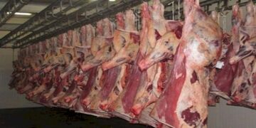 أسعار اللحوم الحمراء اليوم الخميس