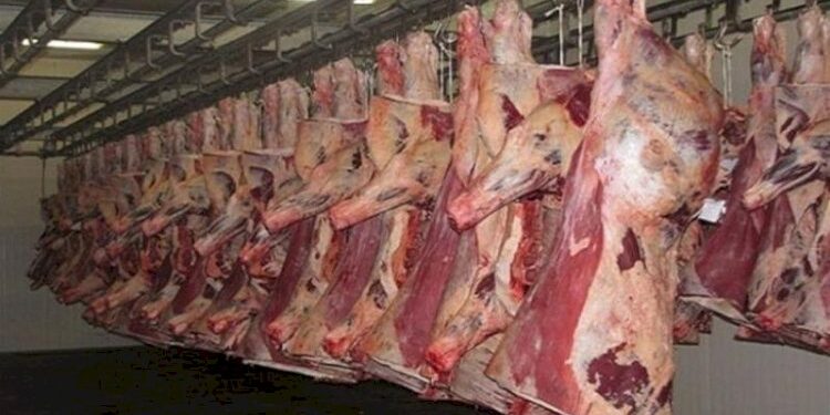 أسعار اللحوم الحمراء اليوم الخميس