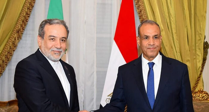 وزير الخارجية يستقبل نظيره الإيراني بالقاهرة