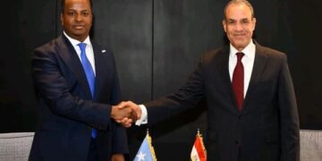 وزير الخارجية يبحث مع نظيره الصومالي تعزيز الشراكة الاستراتيجية بين البلدين