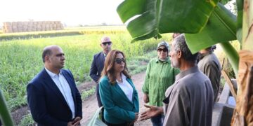 وزيرة التنمية والقائم بأعمال وزير البيئة في جولة مفاجئة لمنظومة جمع قش الأرز بالدقهلية والقليوبية