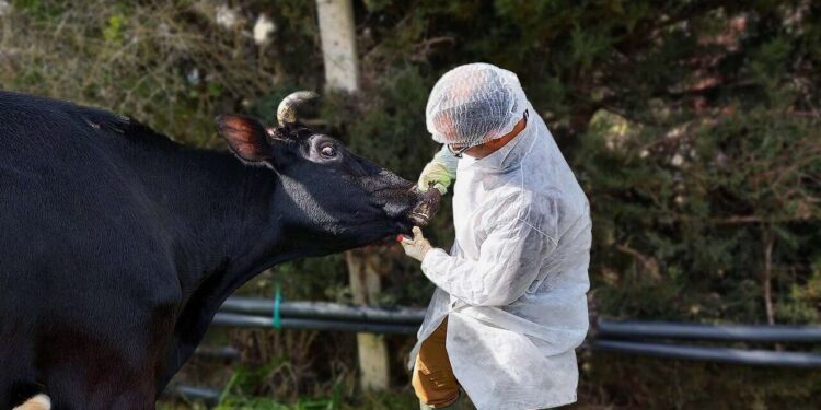“الزراعة” تُحدّث بيانات الوضع الوبائي لمصر في نظام الصحة الحيوانية العالمي