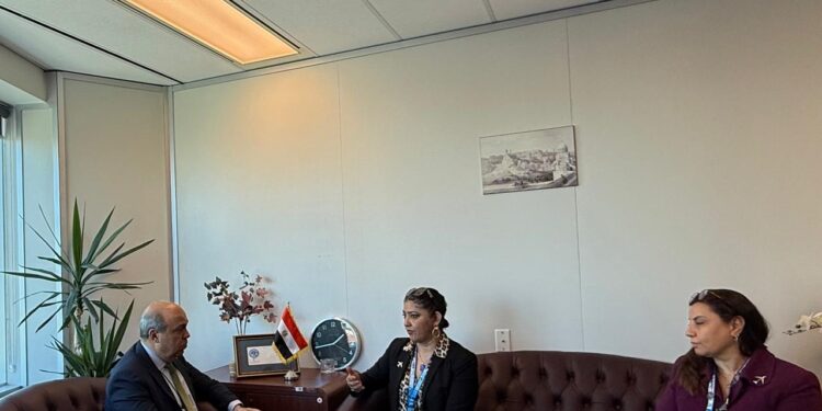 وزير الطيران يلتقي مسؤولة برامج دعم الدول بالإيكاو لبحث دعم مصر