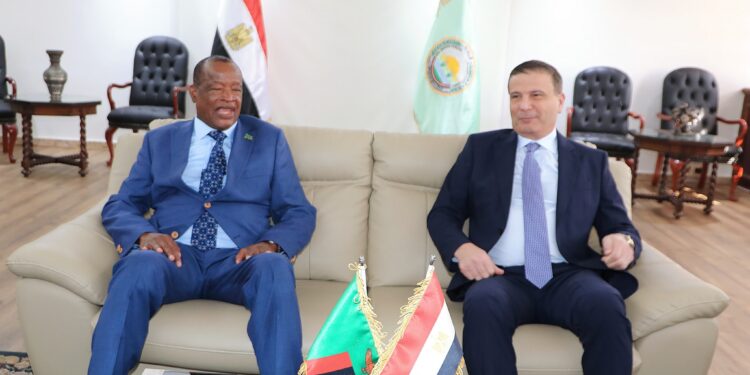 وزير الزراعة ووزير الداخلية الزامبي يناقشان موقف المزارع المصرية المشتركة