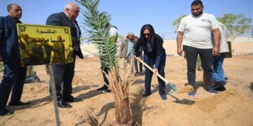 وزيرة التضامن تغرس نخلة في حديقة 30 يونيو بالوادي الجديد