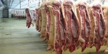 أسعار اللحوم في مصر اليوم الثلاثاء