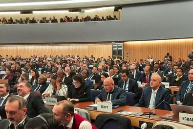 فوز مصر بمقعد في الجمعية العامة للمنظمة البحرية الدولية IMO