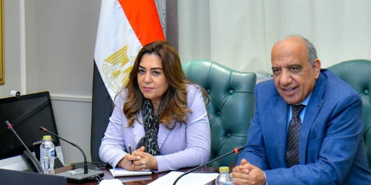 وزيرا الكهرباء والتنمية يبحثان التنسيق والعمل المشترك والتعاون في قضايا البيئة والطاقات المتجددة