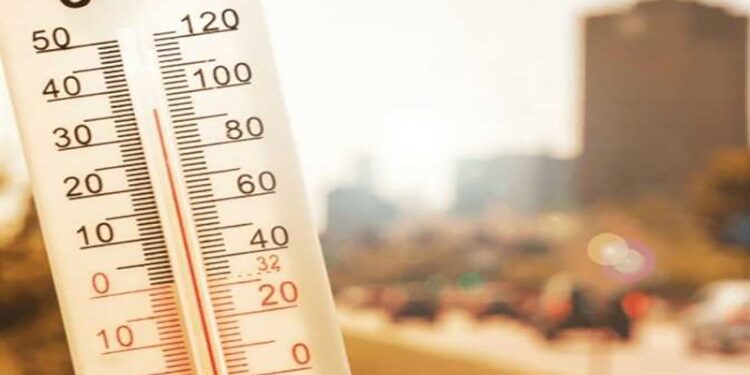 الأرصاد الجوية في مصر تكشف تفاصيل طقس اليوم الخميس