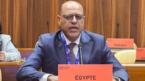 وزير العمل يشارك في اجتماعات مجلس إدارة منظمة العمل الدولية في جنيف