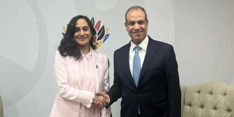 وزير الخارجية يلتقي وزيرة خارجية كندا على هامش قمة مجموعة العشرين بجوهانسبرج