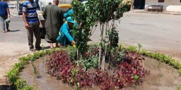 رئيس الوزراء يتابع خطط التطوير والتشجير بالقاهرة الكبرى