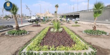 وزيرة التنمية المحلية تعلن انطلاق المرحلة الرابعة من المبادرة الرئاسية “100 مليون شجرة” بمحافظة الفيوم