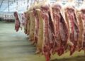 أسعار اللحوم في مصر اليوم الثلاثاء