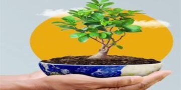 وزيرة التنمية والقائم بأعمال وزير البيئة تستعرض تقرير  جهود تحسين جودة الهواء خلال عام 2025