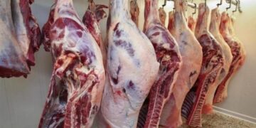 أسعار اللحوم في مصر اليوم الثلاثاء