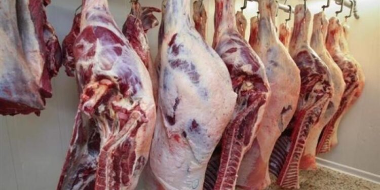 أسعار اللحوم في مصر اليوم الثلاثاء