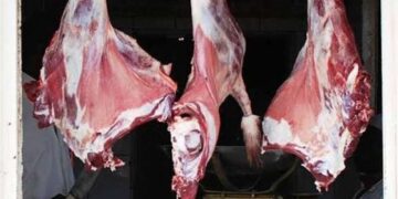 أسعار اللحوم في مصر اليوم الجمعة