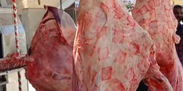أسعار اللحوم في مصر اليوم الخميس