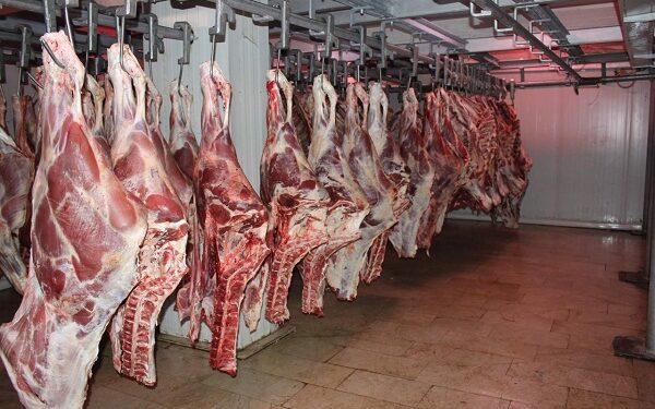 أسعار اللحوم في مصر اليوم السبت