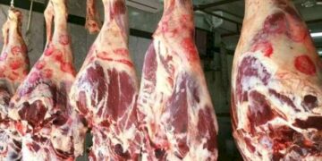 أسعار اللحوم في مصر اليوم الاربعاء
