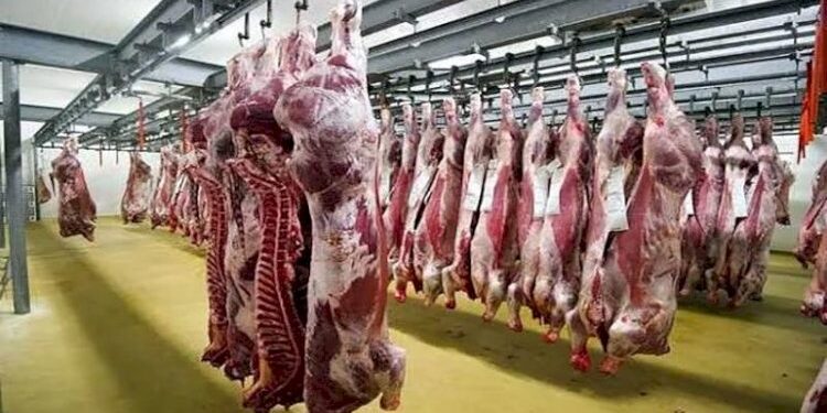 أسعار اللحوم في مصر اليوم الأحد