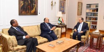 وزير الخارجية يلتقي نظيره التنزاني