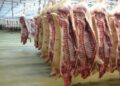 أسعار اللحوم في مصر اليوم الثلاثاء