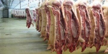 أسعار اللحوم في مصر اليوم الثلاثاء