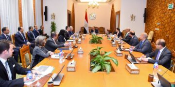 وزير الخارجية يؤكد أولوية الدائرة الإفريقية في السياسة الخارجية المصرية