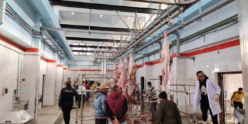 وزيرة التنمية تعلن التشغيل التجريبي لمجزر مدينة موط بالوادي الجديد بتكلفة 21 مليون جنيه