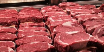 أسعار اللحوم في مصر اليوم الإثنين