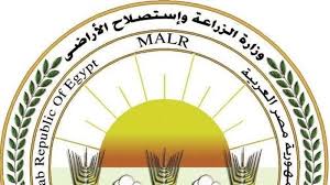 الزراعة ترفع درجة الاستعداد: تكثيف حملات التفتيش وضخ المنتجات في منافذها بأسعار مخفضة