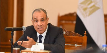 وزير الخارجية يؤكد على الدور المحورى للقطاع الخاص في تعزيز الشراكات الاقتصادية مع أفريقيا