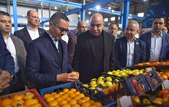 وزير الاستثمار يتفقد عددًا من المصانع بالمنطقة الاستثمارية بمدينة بنها