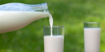 الحليب الطازج أم طويل الأجل.. طبيبة تكشف الفروق الغذائية والصحية