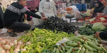 أسعار الخضروات والفاكهة في مصر اليوم الجمعة