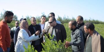 رئيس هيئة تنمية الصعيد يتفقد ويتابع عملية حصاد محصول الجوجوبا بمحافظة البحر الأحمر