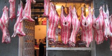 أسعار اللحوم في مصر اليوم السبت