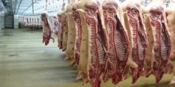 أسعار اللحوم في مصر اليوم الإثنين