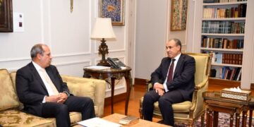وزير الخارجية يستقبل رئيس الجامعة البريطانية في مصر