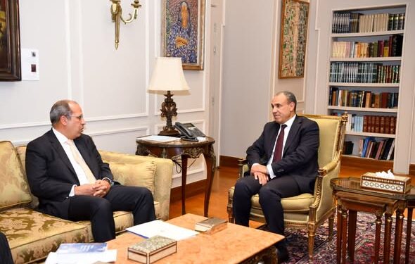 وزير الخارجية يستقبل رئيس الجامعة البريطانية في مصر