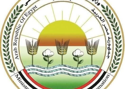 “الزراعة”: تحصين 12,665 كلب حر وتعقيم 1,593 منذ يناير ضمن الحملة القومية لمكافحة مرض السعار