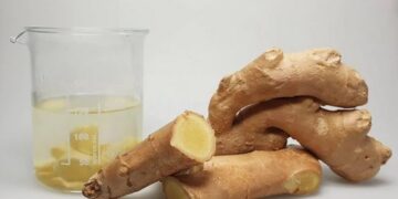 الزنجبيل وصحة القلب.. ماذا يحدث عند تناوله؟