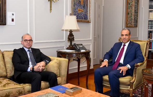 وزيرا الخارجية والاستثمار يبحثان تعزيز التنسيق المشترك لجذب الاستثمارات الخارجية وتحقيق التنمية الاقتصادية