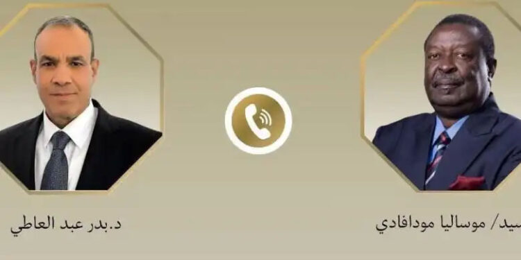 اتصال هاتفي بين وزير الخارجية ونظيره الكيني