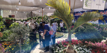 إقبال على حجز “معرض زهور الربيع 2026”: أكثر من 50 من كبار العارضين حتى الآن