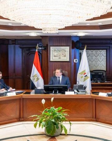 “محافظ البنك المركزي ووزير التخطيط يبحثان دعم استقرار الاقتصاد المصري”