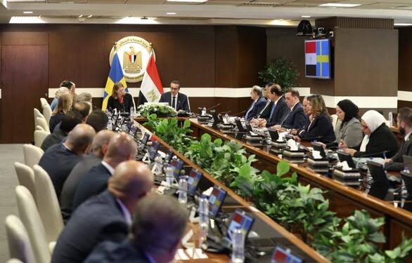 وزير الصحة يبحث مع وفد الشركات السويدية تعزيز الشراكات الاستراتيجية في القطاع الصحي